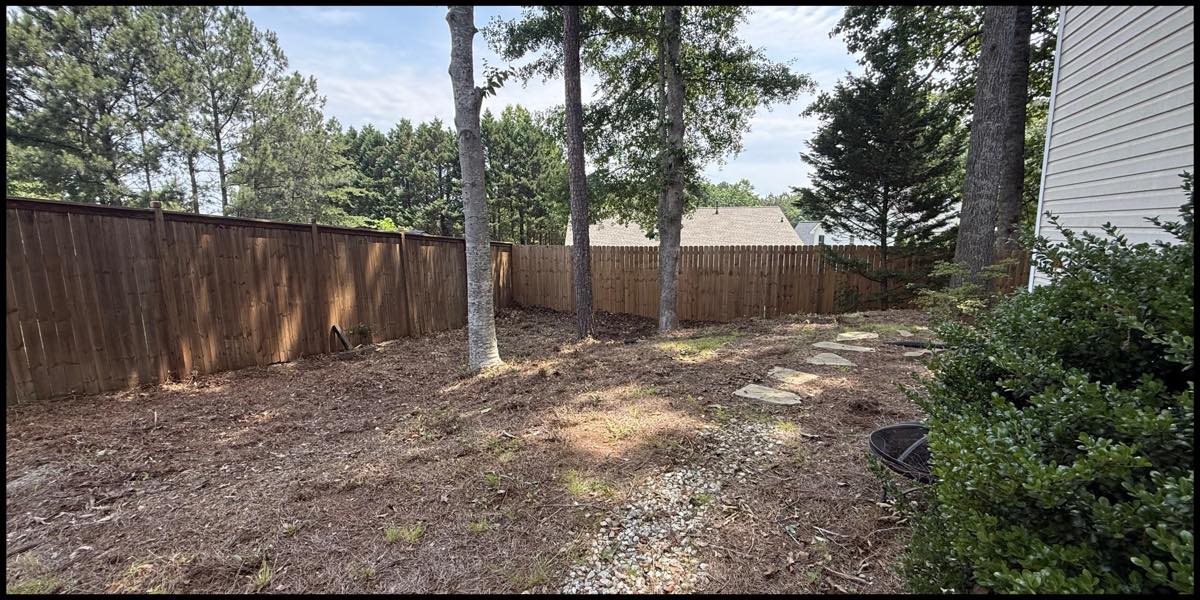 Backyard after the cleanup: fence line clear and stepping stones visible
