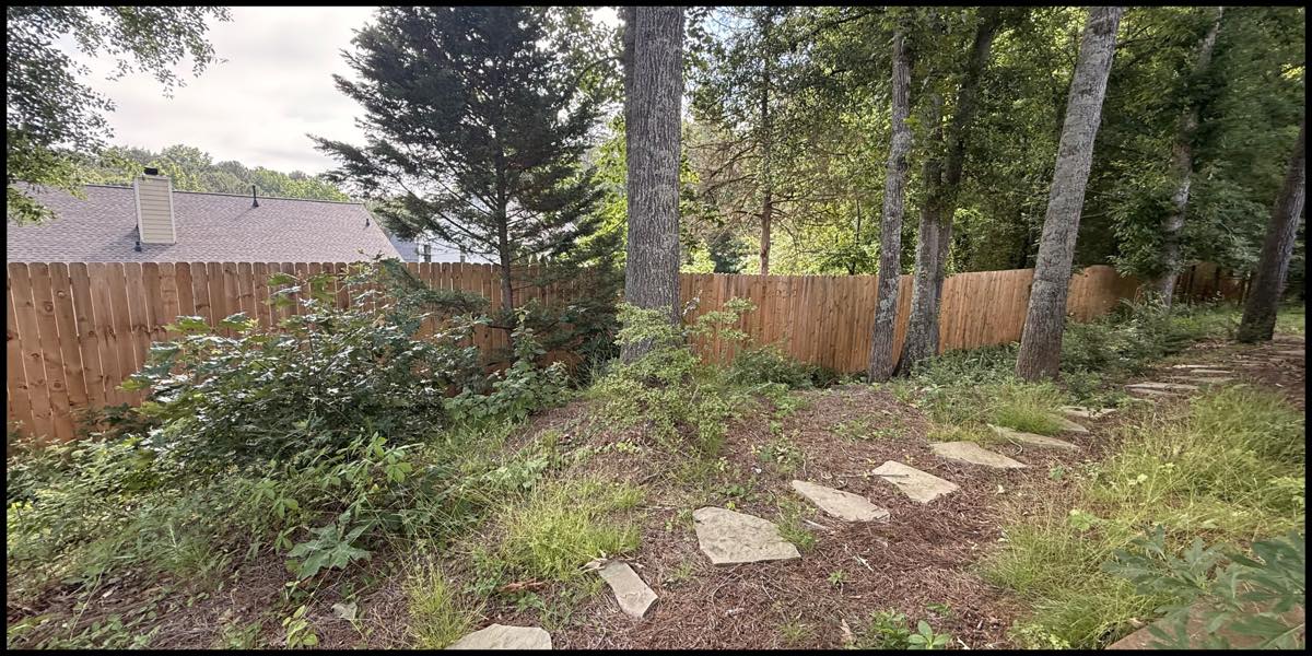 Backyard before the cleanup: weeds and brush along the fence