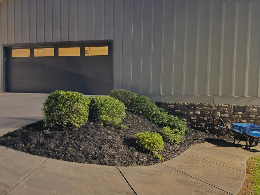 Rounded shrubs in a fresh black mulch bed beside a garage