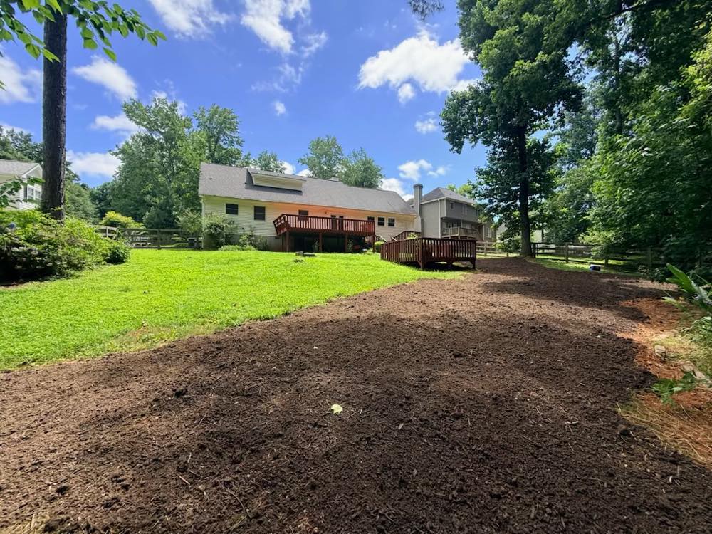 Backyard cleared and graded, ready for new sod